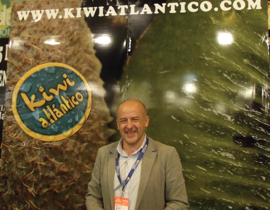 kiwi atlantico