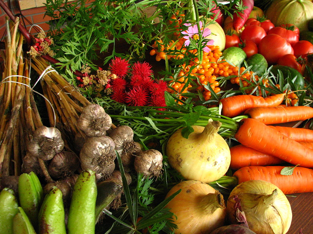 1024px-Ecologically_grown_vegetables