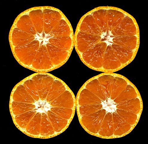 495px-Citrus_unshiu-unshu_mikan